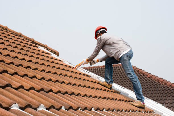 Best Asphalt Shingle Roofing  in Thomasville, GA